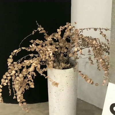 Furry手绘上色教程兽圈群